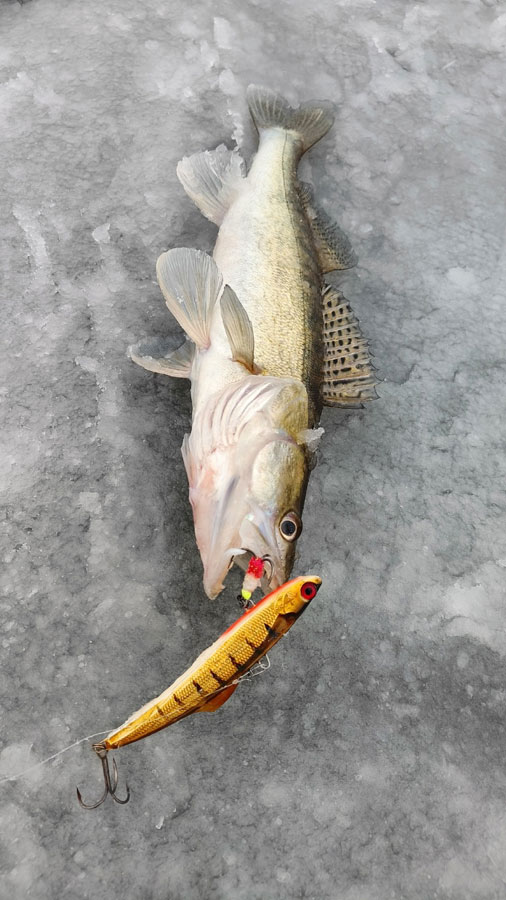 Виб Sanek Lures 140 мм от Чадина А, #Н8