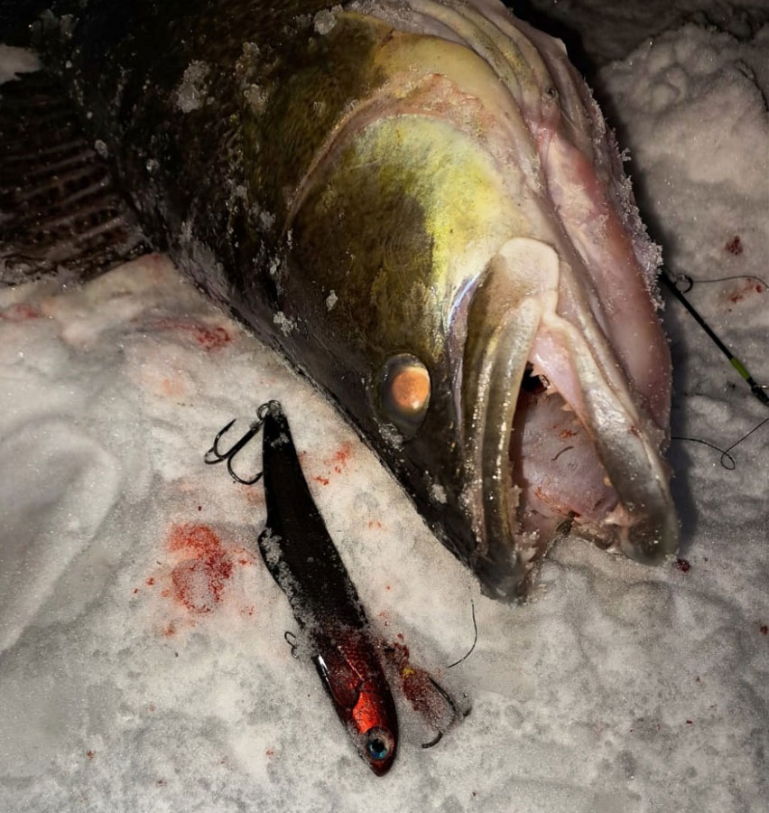 Виб Sanek Lures 140 мм от Чадина А, #Н4